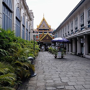 D30 5600