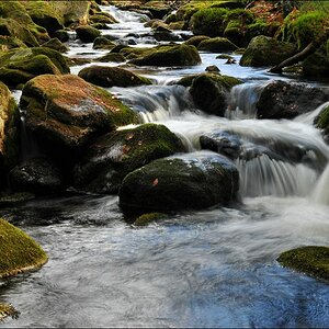 acomp Bayrischer Wald 0741