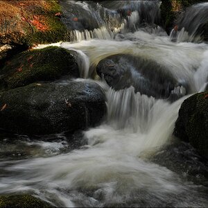 acomp Bayrischer Wald 0748