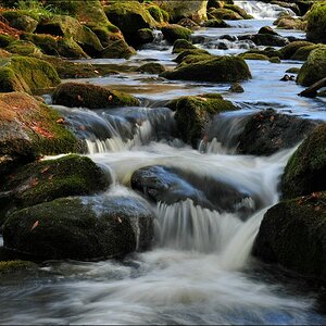 acomp Bayrischer Wald 0756