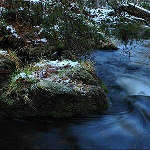 acomp Bayrischer Wald 0846