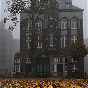 acomp nebel 0098