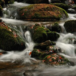 acomp Bayrischer Wald 0964