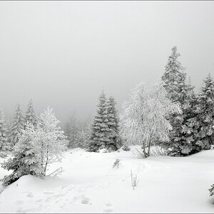 comp Winter im Harz