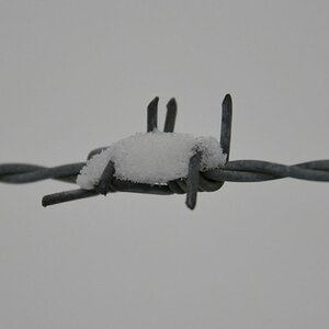 Stacheldraht im Schnee 01