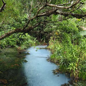 Sulphur Creek