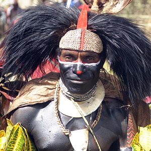 Krieger aus der Sepik Region