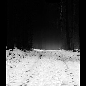 WaldDSC 0077