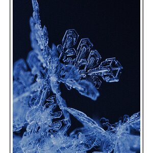 Eisig 1