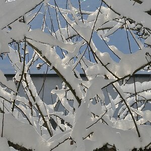 Büroausblick im Winter

D5000 / Nikkor 18-105 VR

92.0mm / f/10.0 / 0.0025s (1/400) / ISO 200