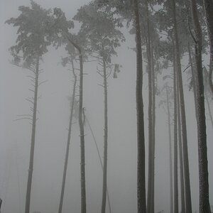 comp IMG 1700
