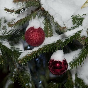 Weihnachtsmarkt 11