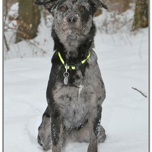 She im Schnee 3a