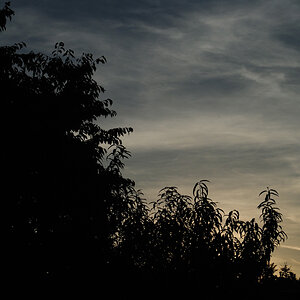 Dark Skies