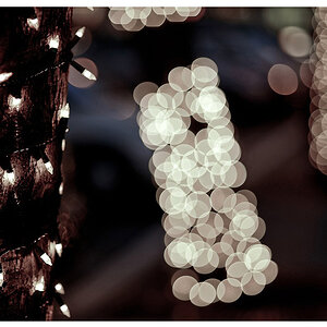 lights 85mm14d