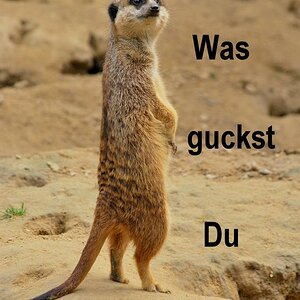 Bild 414 Kopie 1