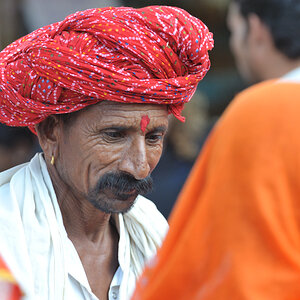 DSC 3666 Pushkar