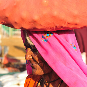 DSC 3792 Pushkar