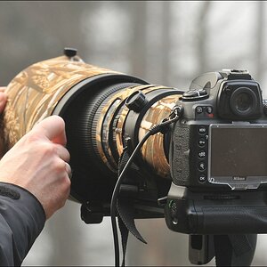 acomp Bayrischer Wald 0015