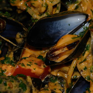 Vongole
