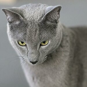 Bild 009