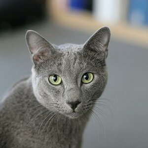 Bild 007