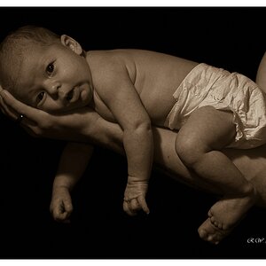 compBaby2010