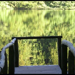 Waldsee1