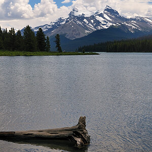 DSC8542 NF-F
Maligne Lake
Jasper