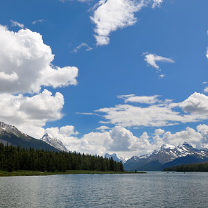 DSC8554 NF-F
Maligne Lake
Jasper