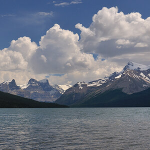 DSC8561 NF-F
Maligne Lake
Jasper