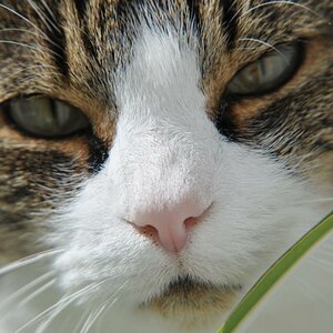 DSC 5114