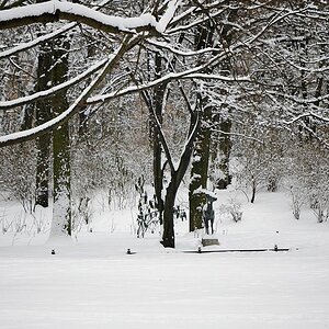 20101228 123420
