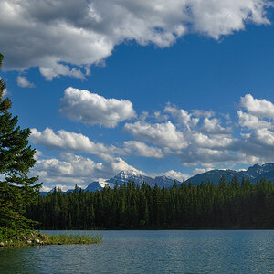 DSC8743 NF-F
Lake Edith
Jasper