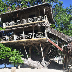 Das Treehouse auf Neu Irland