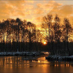 acomp Hasenmoor 0208