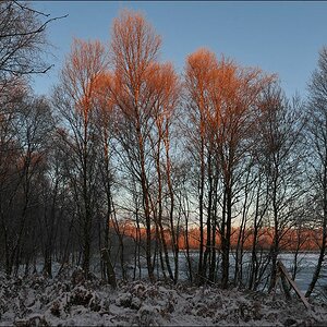 acomp Hasenmoor 0223