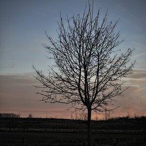 DSC 5037nff