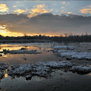 acomp Hasenmoor 0456