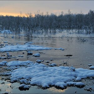acomp Hasenmoor 0505