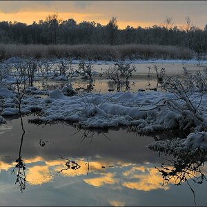 acomp Hasenmoor 0607