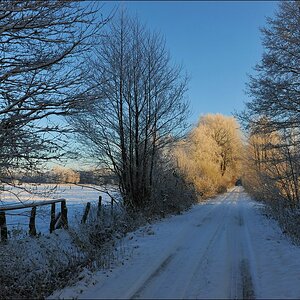 acomp Hasenmoor 0649
