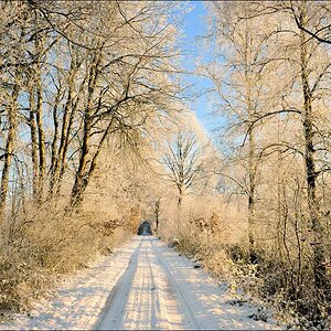 acomp Hasenmoor 0735
