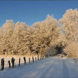 acomp Hasenmoor 0856