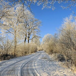 acomp Hasenmoor 0935