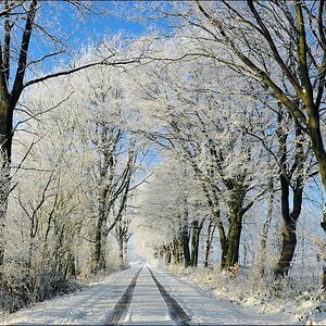 acomp Hasenmoor 1063
