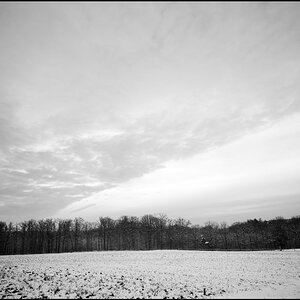 (3NFF)D3S 0151