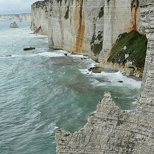 DSC 5131