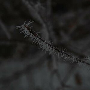 Natur pur