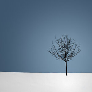 WWL winter I